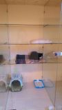 IMG-20170903-WA0000