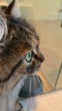 IMG-20170903-WA0004