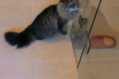 IMG-20170903-WA0008